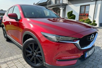 2.2D 184PK Executive Skóra Navi 18